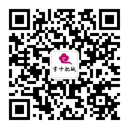 掌中肥城公众号二维码