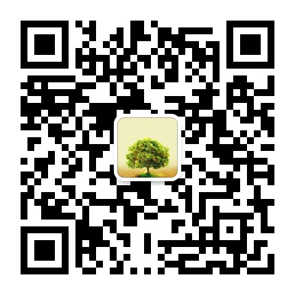 放大器参数解析与LTspice仿真