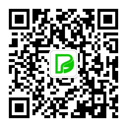 保定东方双语学校