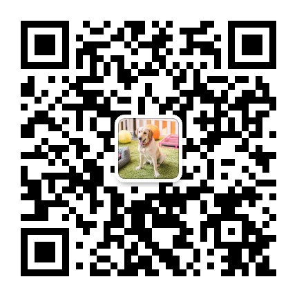 愛拉布拉多狗狗