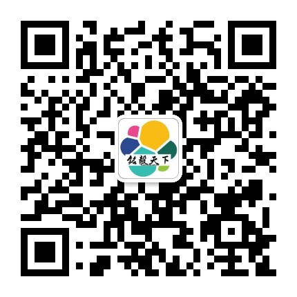 铭毅天下Elasticsearch