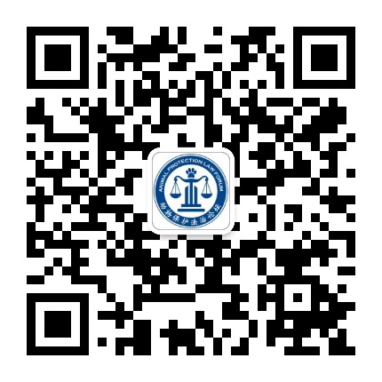 动物文明在路上