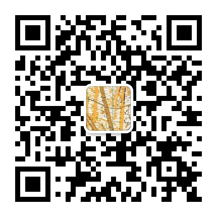 奔跑的定向人