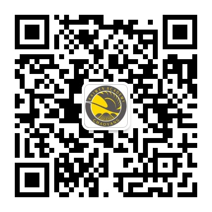 北京市朝阳区凯文学校