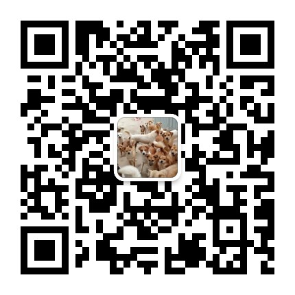 90后小渔和流浪猫狗