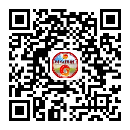 青春鲁小工
