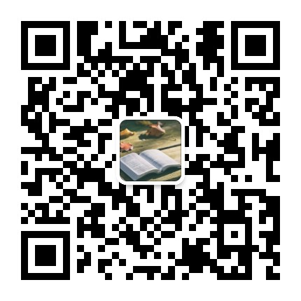 胖琪的升级之路