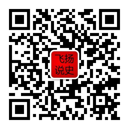 飞扬说史