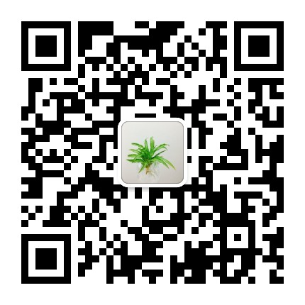 天空以北