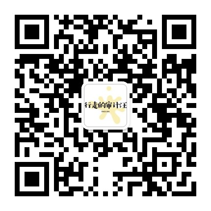 行走的审计汪