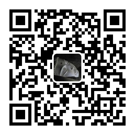 正念直来