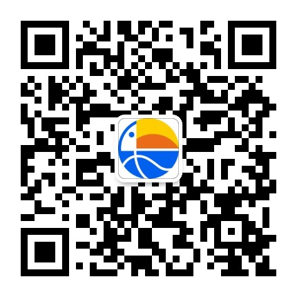 犀鸟学球