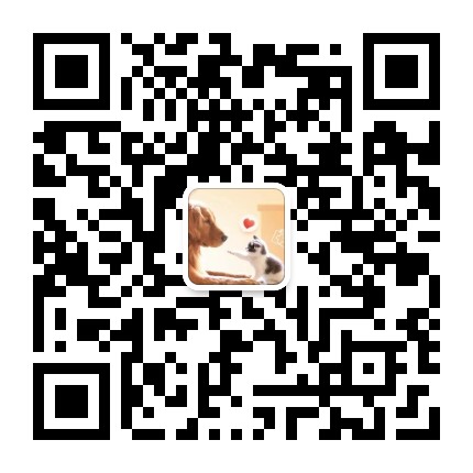 杭州宠物领养平台