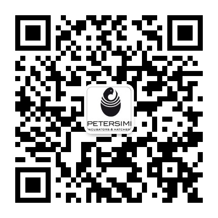 PETERSIME