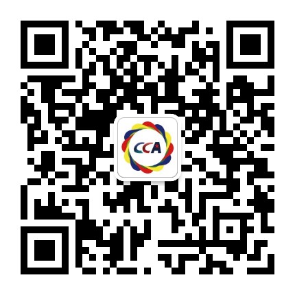 中国啦啦操分会