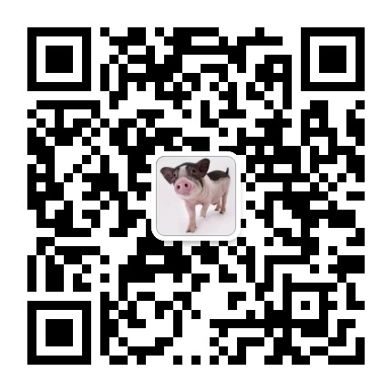 不主流讲话