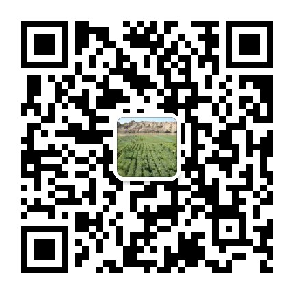 间套作与现代农业