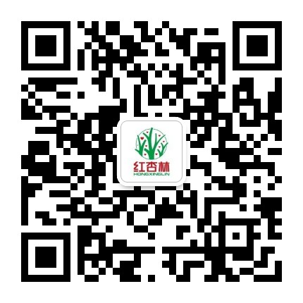 洪泉对症经络功法