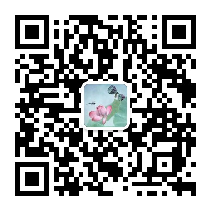 慧灯之光禅修