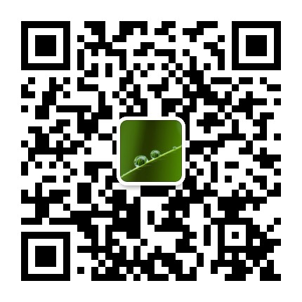 玄奘研究所