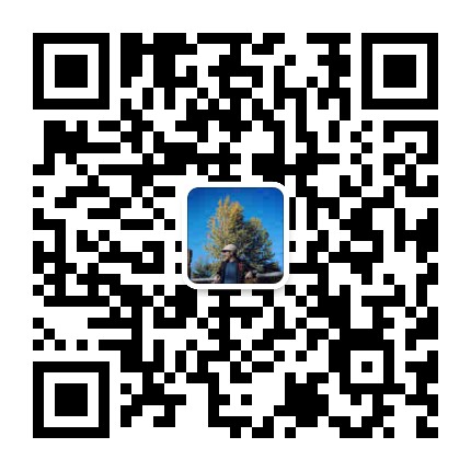 陈帆Fotochen