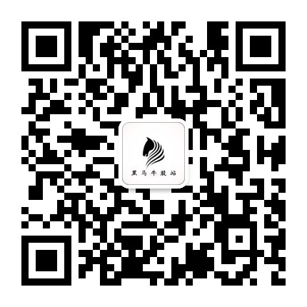 黑马牛股站