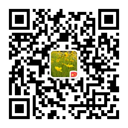 杏林大医