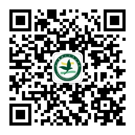 烟台十三中