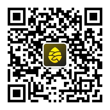 松果出行服务号
