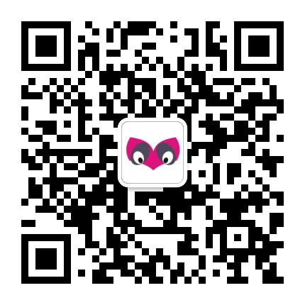 漫龙动漫文献工作室