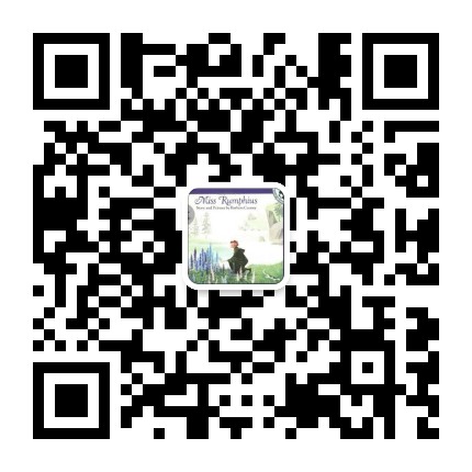 听听惠风禾唱