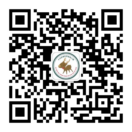 大丰城东实验幼儿园公众号二维码