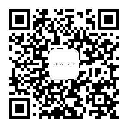 VIEWEVER维伊