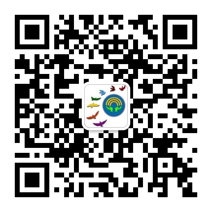 合肥市虹桥小学公众号二维码