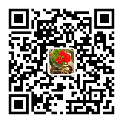 锦上添花的退休生活