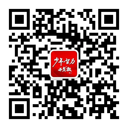 智赢有方
