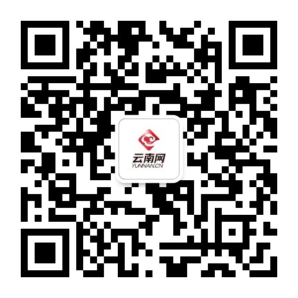 云南网