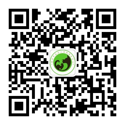 荆州市流浪小动物保护中心