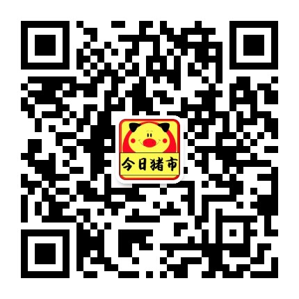 今日豬市行情