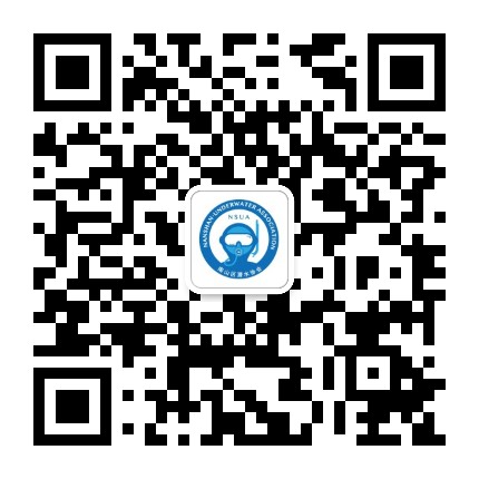 深圳市南山区潜水协会