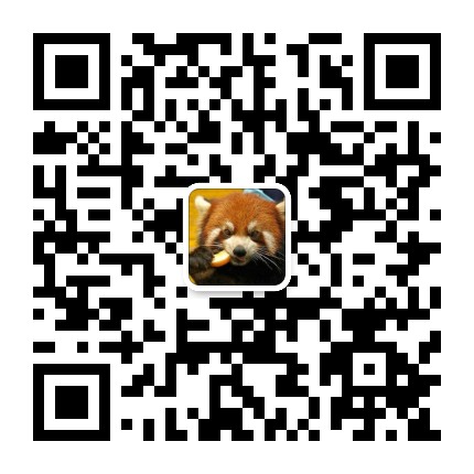 小熊猫的大历史