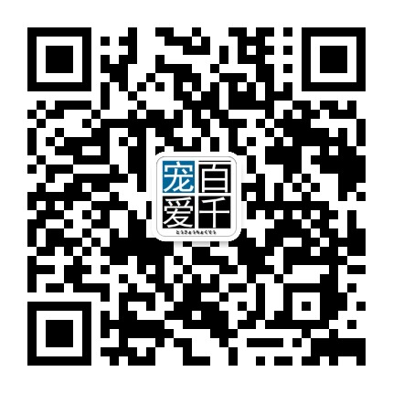 奔奔有米