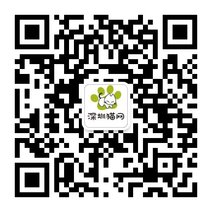 深圳猫网