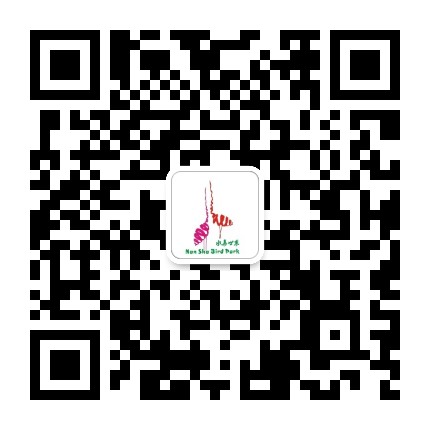 南沙水鸟世界生态园