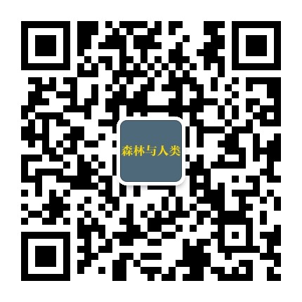 森林与人类