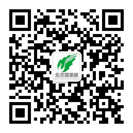 北方蔬菜報官微