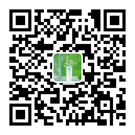 愿平安在你中间