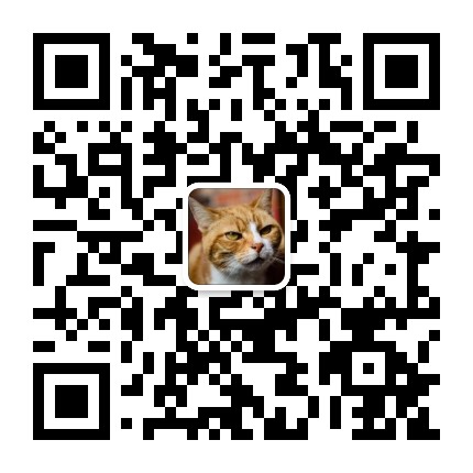 大橘為重的小胖橘