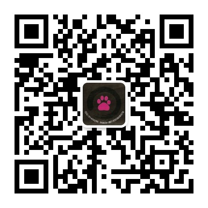 犬天下