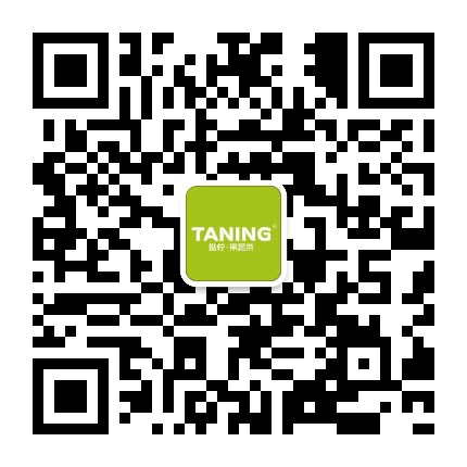 TANING l 挞柠柠檬茶